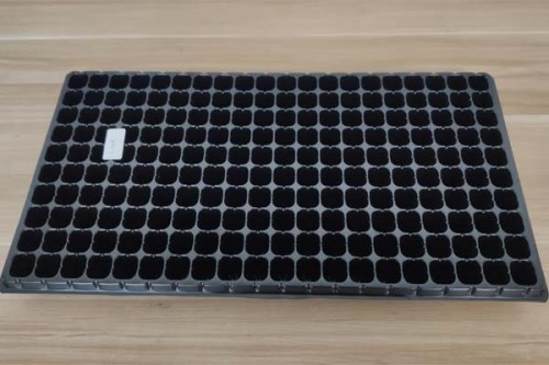 200 x Full Size Heavyweight Seed Trays Water Propagator With Holes Flexible 